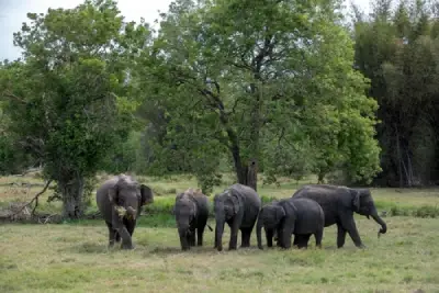 
			Habarana – Polonnaruwa - Habarana
			